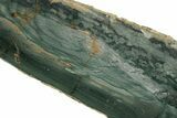 Gary Green Jasper (Larsonite) Bog Wood Slab - Oregon #185117-1